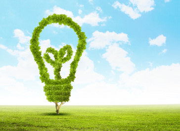 Capgemini es premiada por mitigar el cambio climático