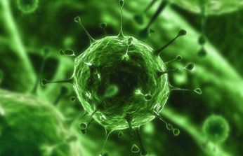 El 80% de los internautas españoles ha sido atacado por un virus en la Red