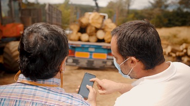 Un proyecto blockchain para hacer más eficiente el sector forestal español