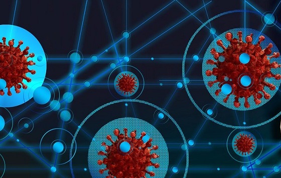 Internet: una red apta para pandemias
