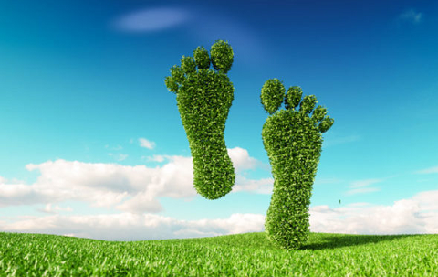 La huella medio ambiental de Internet