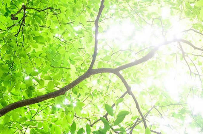 El MITECO abre una convocatoria de ayudas para proyectos de almacenamiento energético
