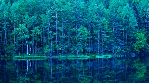 HPE GreenLake Edge-to-Cloud ofrece más opciones y simplicidad con su experiencia unificada