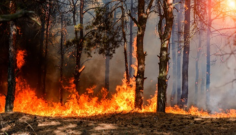 La tecnología contribuye a extinguir incendios forestales en España