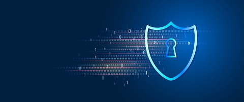 Una encuesta explora la confianza y el manejo de datos en Internet